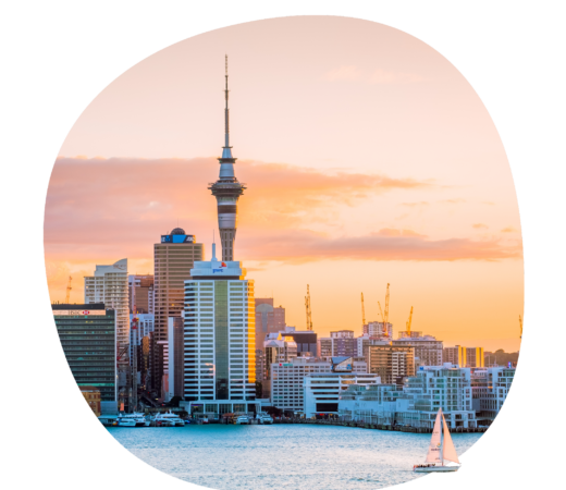 New Zealand skyline