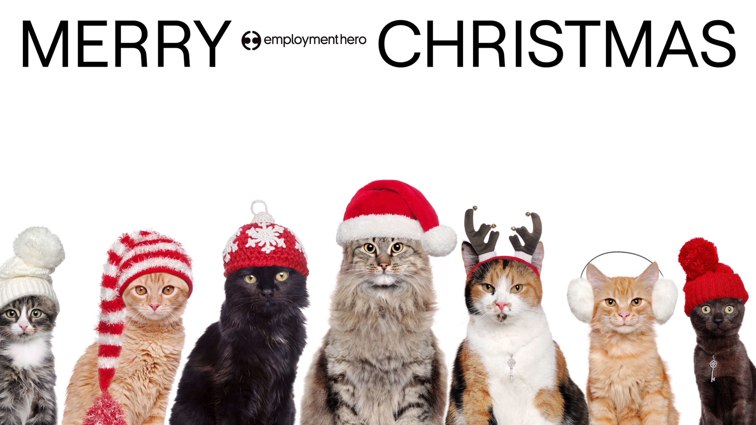 https://employmentherocom.kinsta.cloud/nz/wp-content/uploads/2021/12/Holiday-Zoom-Backgrounds-Blog6.jpg