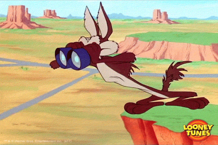 Wil E Coyote searching from the top of a cliff with a pair of binoculars