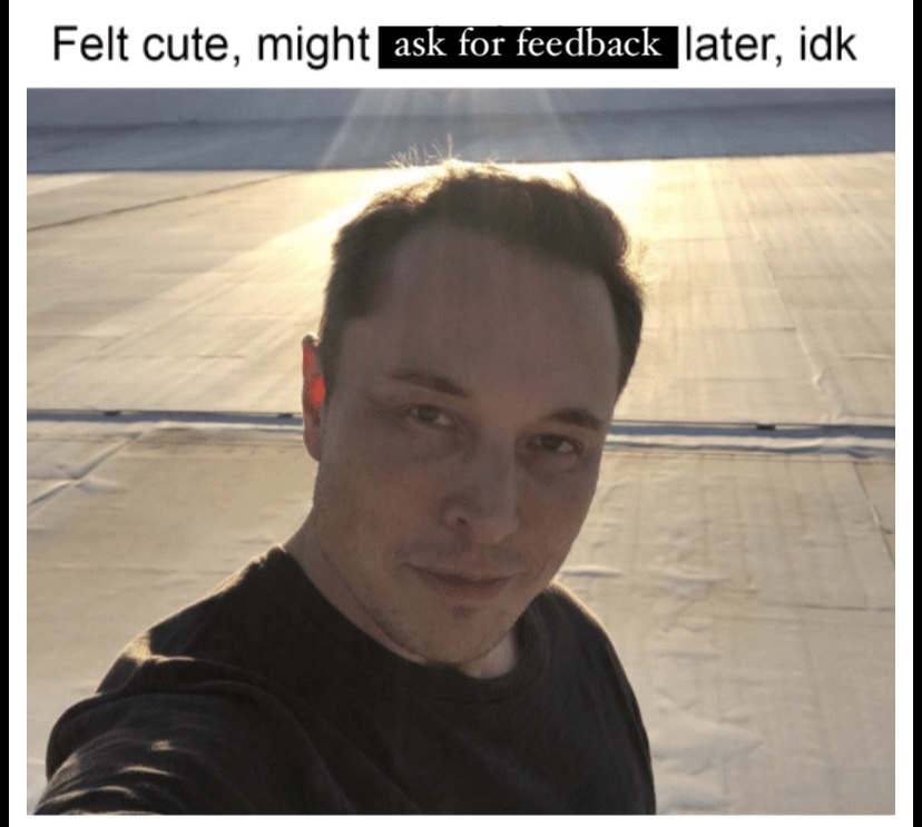Meme of Elon Musk, text reads: Felt cute, might ask for feedback later, idk