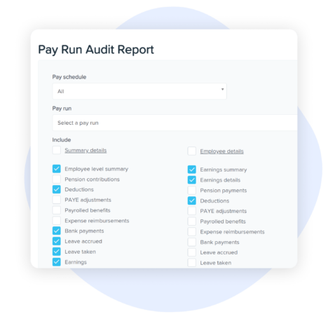 Pay run audit report interface