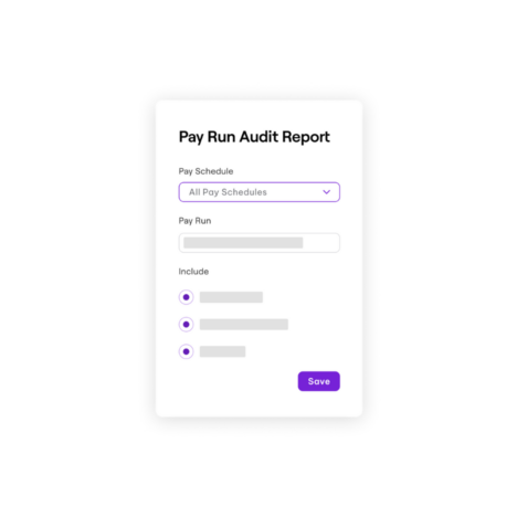 Interface for Pay Run Audit Report