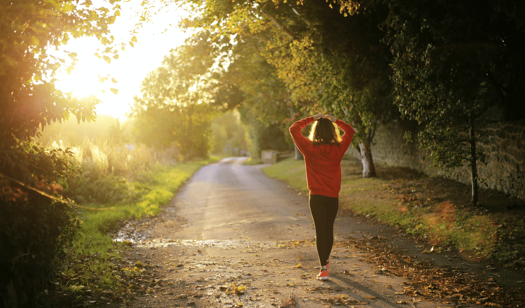 Person in a red sweater walking down a sunlit, tree-lined path during a peaceful sunset or sunrise