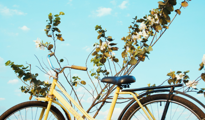 Yellow bicycle in front of branches and sky background