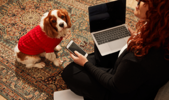 Dog in red sweater sitting next to woman working on laptop