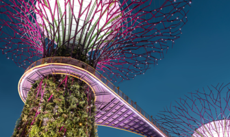 Close-up view of the Supertree Grove at Gardens by the Bay in Singapore, featuring illuminated vertical gardens and the skyway walkway against a clear evening sky.