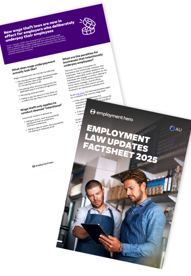 image preview of the employment law updates factsheet