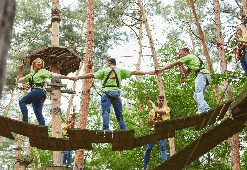 team building event - treetops climb